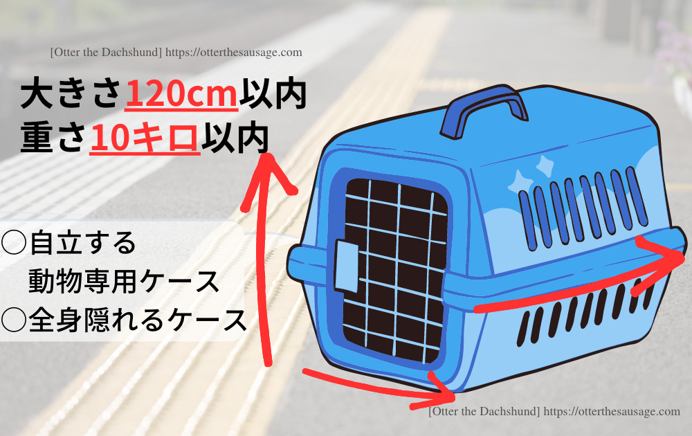 photo_犬と旅行_犬連れ旅行_travel tips for riding on the bullet train with dogs_Otter the Dachshund_犬連れ新幹線の乗り方完全マニュアル_乗車条件
